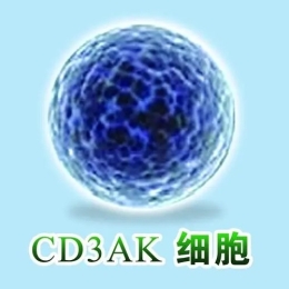 CD3AK细胞